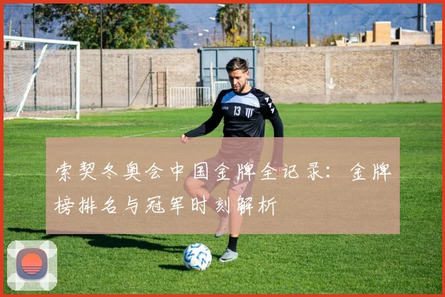 索契冬奥会中国金牌全记录:金牌榜排名与冠军时刻解析