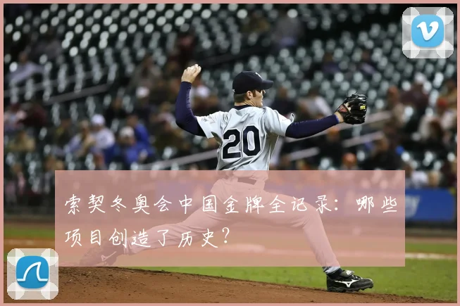 索契冬奥会中国金牌全记录:哪些项目创造了历史?