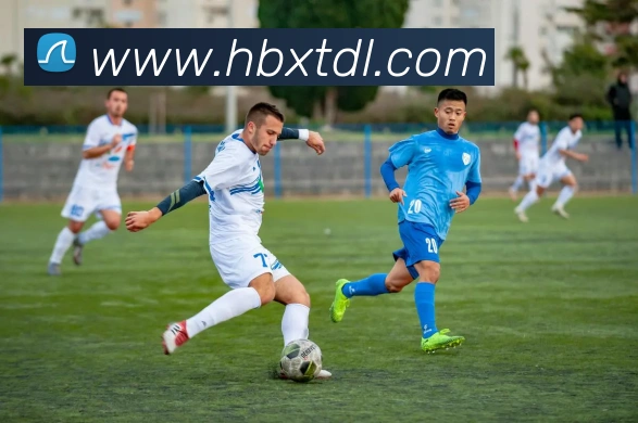 开云手机网页入口平台生态图